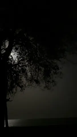 يقوللل ودعتككك وانااا في خاااطري م نويت الرحيل  #4u #road #dark 
