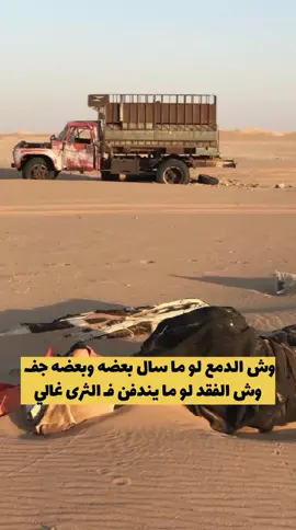 #قصايد_شعر_خواطر #اكسبلور #fyp 