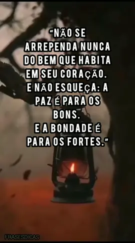 #indireta #status #frases 