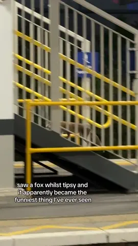 hope he remembered his train ticket x #fyp 