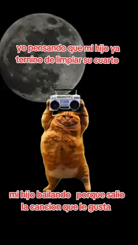 #Meme #MemeCut #CapCut 