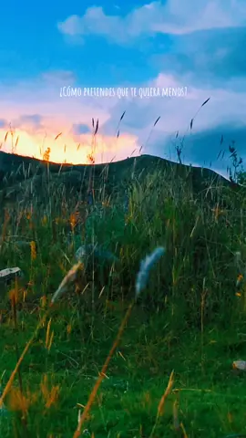 Siempre siempre tú 🥰😍 #albano 🤗🤗🥰 #rominapower 😍🥰  #siempresiempre 🤗😍 #rock #rockpop 🍂 #rockenespañol 😘  #classicalmusic 🍂🥰😍 #paradedicar🙈❤️🙈  #paratiiiiiiiiiiiiiiiiiiiiiiiiiiiiiii  #volkmusik #poppyplaytim #rockpop #ochenteros 🍂 #noventeros #classicalmusic 🎸🍂🥰 #80 #90smusic 😍🥰 #paraestados 😍🥰🍂 #Otoño 🍂🥰 #paisajesnaturales 🍂🌾 #atardeceres🌅  #tardes 🍂😍🌾