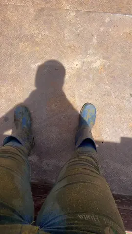 #agropecuaria #ganaderia #campo No saben es nada 🙄😛