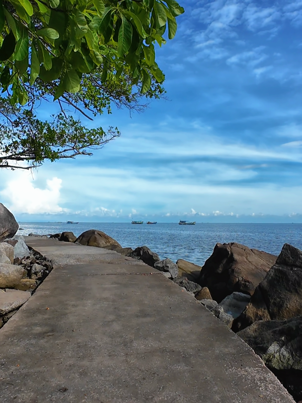 Hòn Đá Bạc - Cà Mau #69camau #camau #vietnam #mientay #dulich #chill #canhdep 