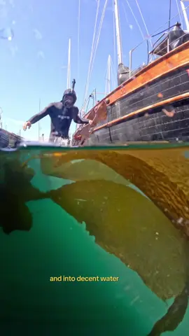 over 10 foot swells and a broken ladder later and here we are #sailboatlife #sailingcalifornia 