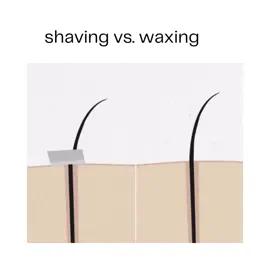 Unlike shaving, which only cuts hair at the surface, waxing removes it directly from the root, meaning smoother skin that lasts for weeks, not days.  Over time, waxing can lead to finer, softer regrowth and fewer ingrown hairs.  It also gently exfoliates, removing dead skin cells for a healthier, more polished appearance.