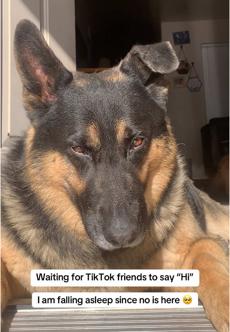 Still waiting 💔🥺😴 #creatorsearchinsights 