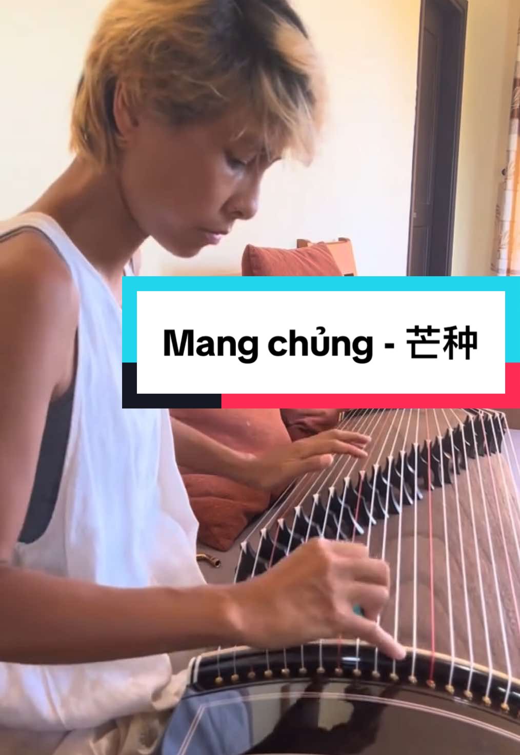 Mang chủng •《芒种》音阙诗听 / 赵方婧 官方高画质  | Grain in Ear | #guzheng #fyp #viral #xuhuong #guzhengcover #芒种 #古筝