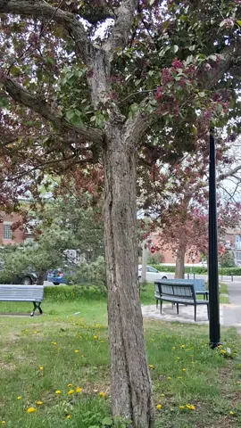 #tourism #biraltiktok #travelvlogger #contentcreator #voyage #foryou #trendin #viral_video #traveltips #travelinfluencer #travelinfluencer #travelcreator  #tiktok #foryoupage #fyp #foryou #viral #Love #funny #memes #followme #cute #fun #music #happy #fashion #follow #comedy #bestvideo #tiktok4fun #thisis4u #loveyoutiktok 