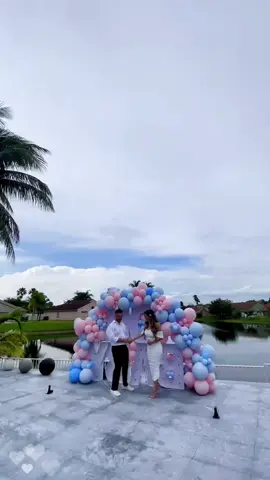 Amazing  gender reveal show.  #genderreveal #genderrevealmiami #powderblaster #revelaciondesexo #charevelacaoideias #genderrevealflorida #genderrevealcelebrations #girlorboy #revelaciondegenero 