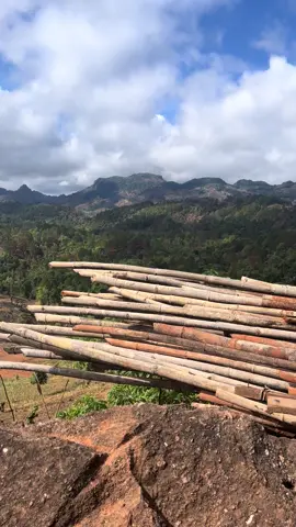 #ထွန်စက်သမားလေးပါဗျ🥰 #ဆယ်လီမှအသဲပေးတာလား😑 #m6240suh #m6040 #fyp #views #ကြိုးစားနေဆဲ😊 #100kviews 