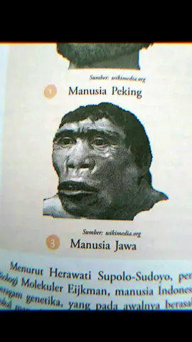 Jawa =