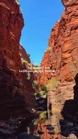 karijini is magic !!! #hiddengem #vanlifeaustralia #visitwesternaustralia #fernpool #fortescuefalls 