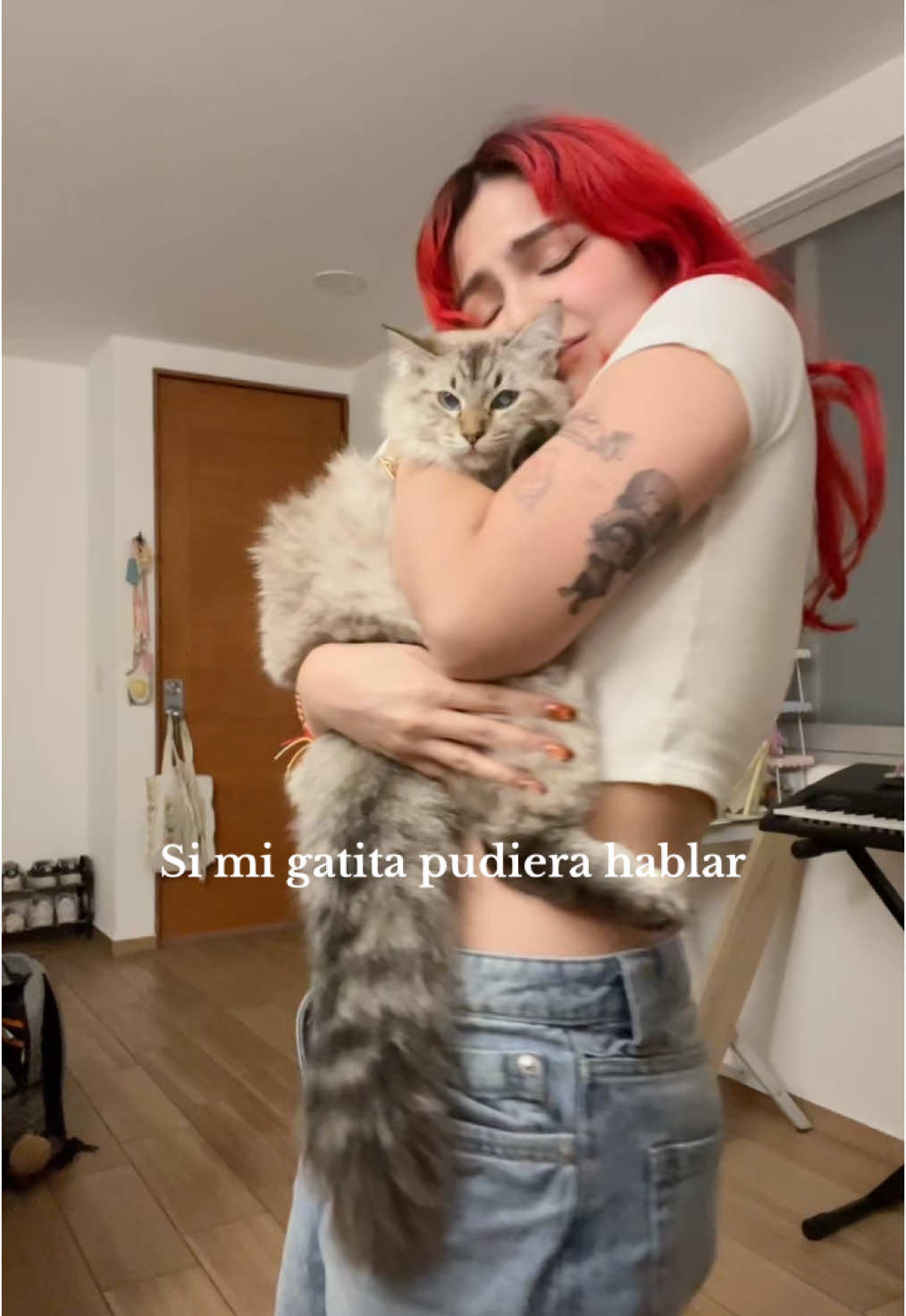 todo menos eso 🗣️ #mexico #gatos #gatostiktok #cutecat 