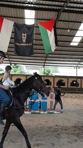 🏇🏇🏇🏇😃😃😃#aisarkhaledd #aisarsultanmalaysia #fyp #fypage 