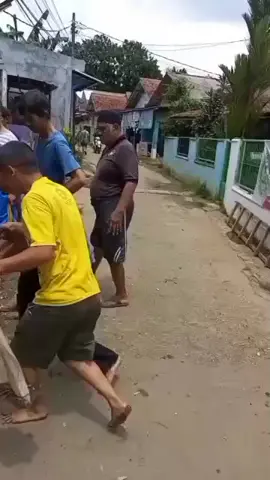 sungguh sangat mengejutkan lgi kerja gotong royong dpt menemukan ular' siluman berkepala manusia,yg GK berani lihat jgn di tonton ya 😱😱🙄