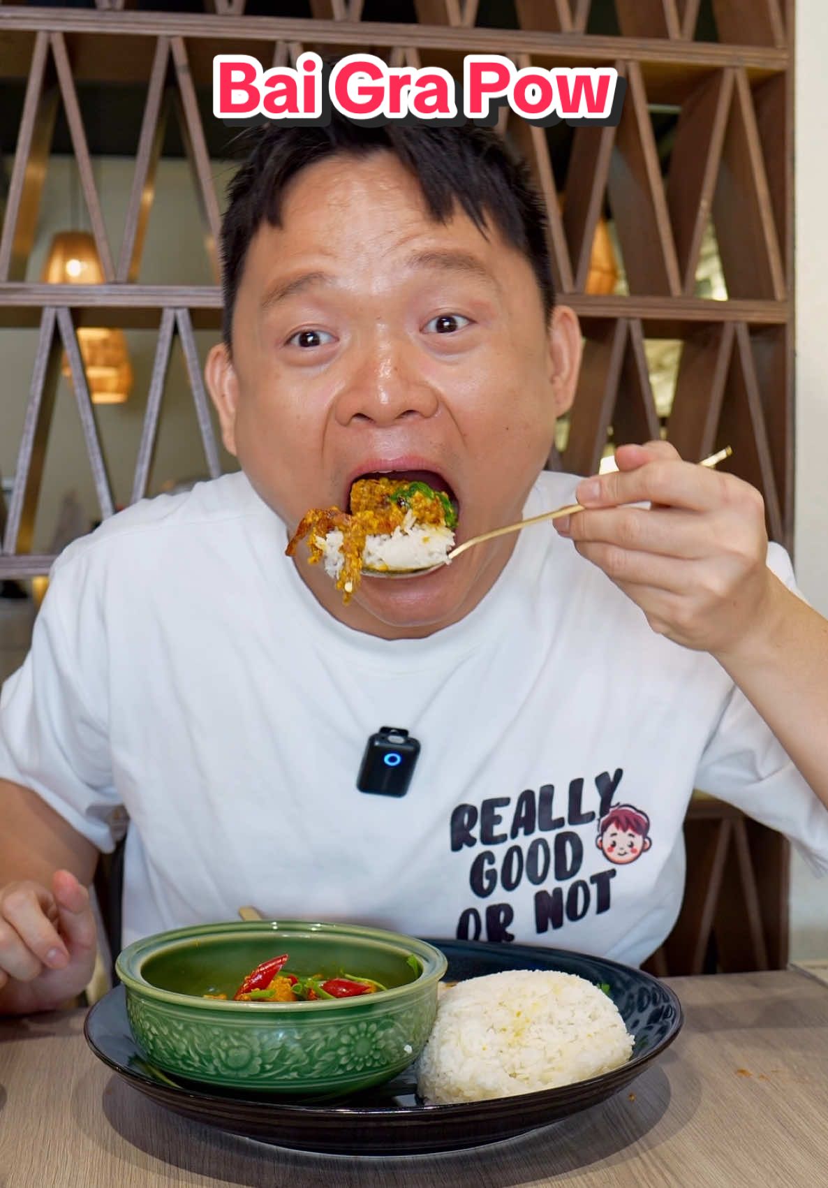 RM 100 Blind Date with Malaysia 🇲🇾 @baigrapow food! REALLY GOOD OR NOT? #hungrysam #reallygoodornot #baigrapow 
