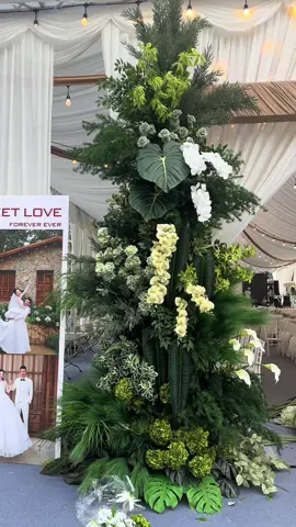 ❤️❤️❤️❤️  #