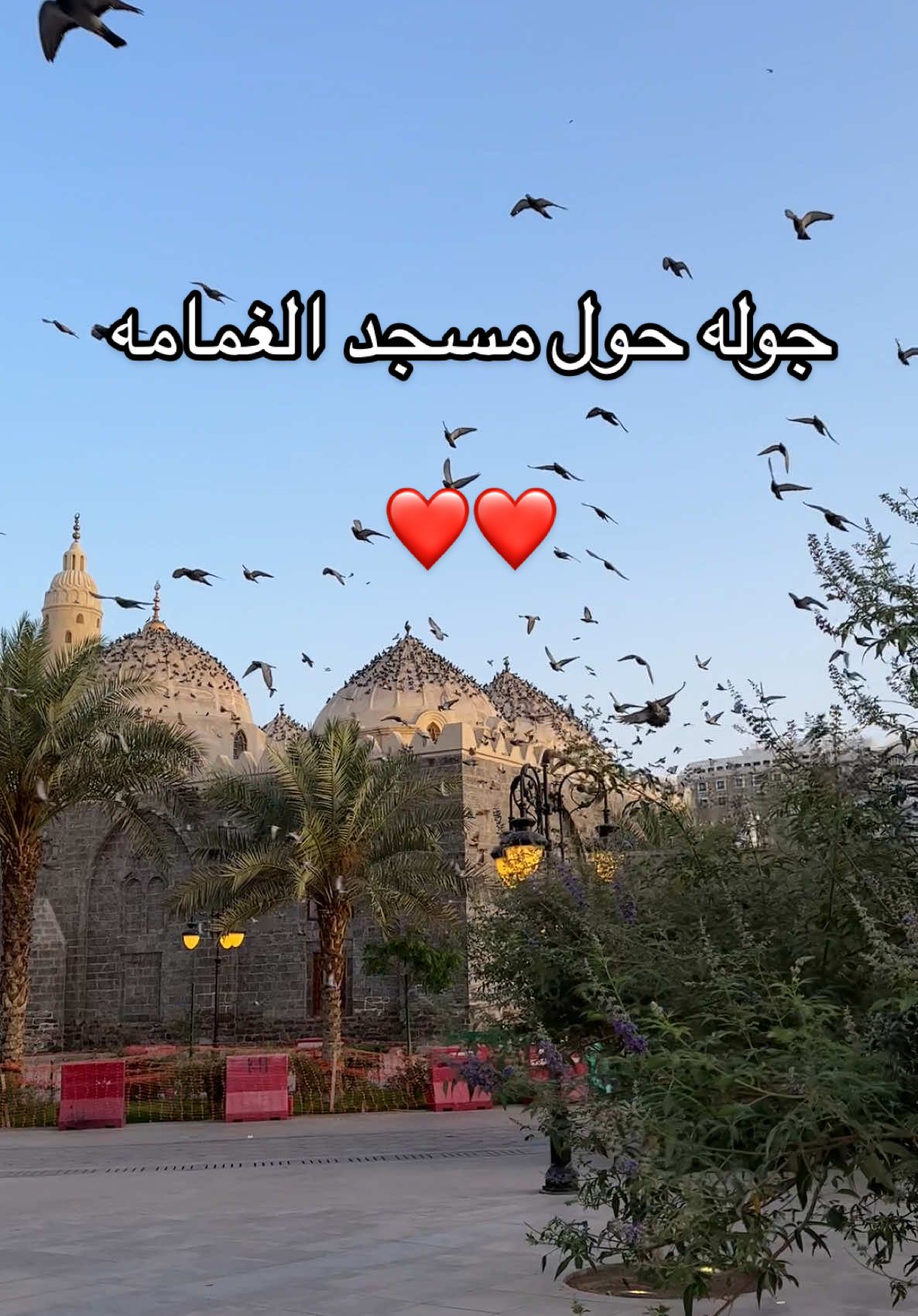 #المدينه_المنوره #المدينة #المدينة_المنورة #المدينه #madina #madinah #madinasharif #اللهم_صل_على_محمد_وآل_محمد #اللهم_صل_وسلم_على_نبينا_محمد #صلوا_على_رسول_الله #دعاء  #ادعية_اسلامية_تريح_القلب  #لاحول_ولا_قوة_الا_بالله  #سبحان_الله_وبحمده_سبحان_الله_العظيم 