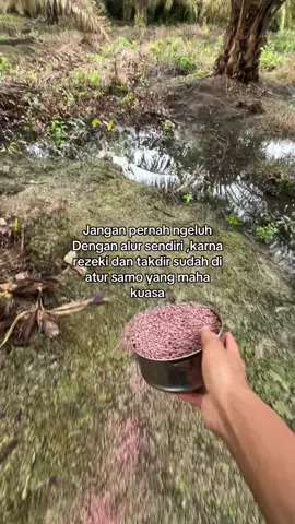 👌#palembang #palembangtiktok #palembangcity 