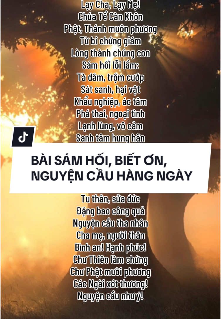 Trả lời @maian.2025 sám hối, biết ơn, nguyện cầu thực hành hàng ngày rất tốt ạ #tamlinhdoandiepha #xh #xuhuongtiktok #tâmlinh #doandiepha #caunguyen #samhoi #bieton #tamlinhhuyenbi #giainghiep 