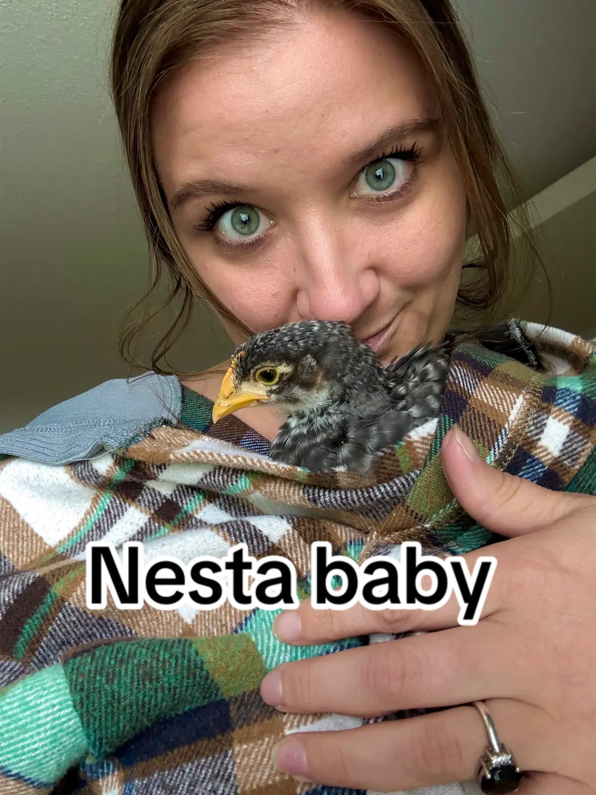 #fyp #foryoupage #chickennuggets #chick #chicks #chicken #homestead #pet #pets #PetsOfTikTok #Love #jurrasicpark #momlife #funny #bird #obsessed #family #acotar #sarahjmaas #nesta 