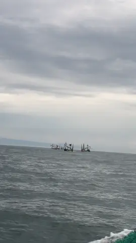 KM BARON ( macan laut ) tawur tongkol  #nelayanmuncar #nelayanbali #nelayanpengambengan #nelayanlautdalam #muncarbanyuwangi #jimbran #fyp #fyppppppppppppppppppppppp #fypage #tiktokvideo #bismillahfyp #fypdong #abcxyz 