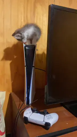 Bajate de ahi barrioo 🫥 #rudagoni #parati #futbol⚽️ #fyp 