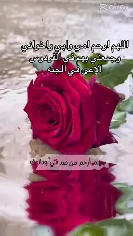 #يارب ارحم امي وابي واخوني#انا اشتقت لهم