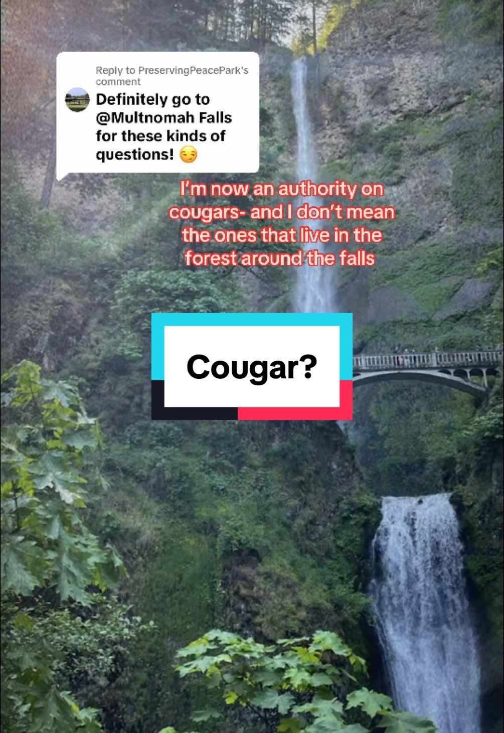 Replying to @PreservingPeacePark Getting older is fun 😂 so what’s the age range on a cougar? As a 15,001 year old I’m old enough to have an opinion #multnomahfalls #cougarclub 