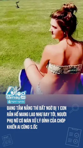 Đừng nhờn với chụy nha cưng 🤣🤣🤣 #TQDSHN #BTSmedia #blogtamsu #discovery #chuyenlacothat #funfact #xuhuong #haihuoc