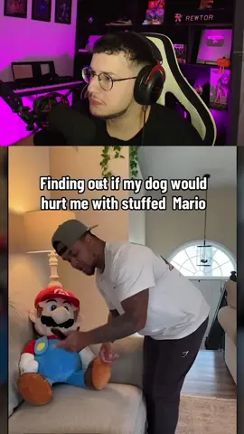 #rewtor #tentenaorir #pedrinreage