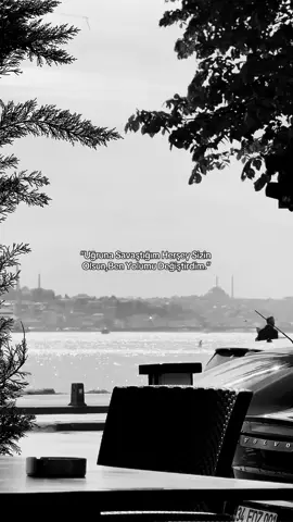 Yüreğimize hançer soktular,gül sandık. _______________________________ #kesfet #sözlerdiyarı #fyp #storylik #kırıkkalp 