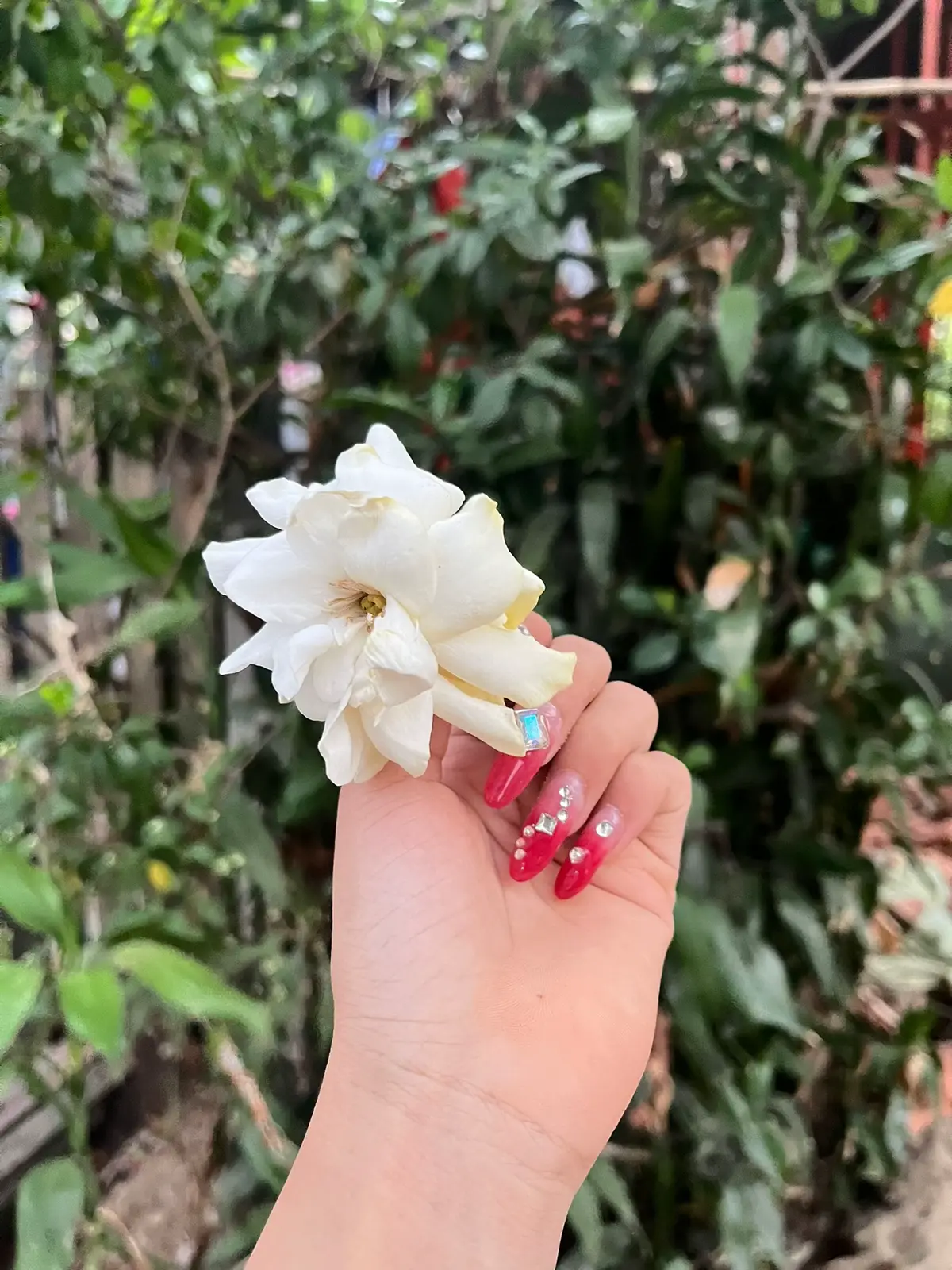 ကိုယ်စခဲ့တဲ့ trend မှာ ကိုယ်တိုင် ကျိန်စာ မိနေပီလားကွယ် 😪