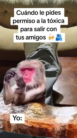 #Meme #MemeCut #CapCut 