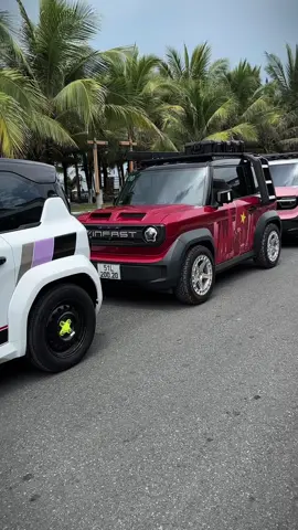 Đúng kiểu mỗi người một gu😆😆#xuhuongtiktok #shopdodenquan12 #vinfast #vf3 