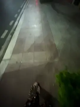 #xh 