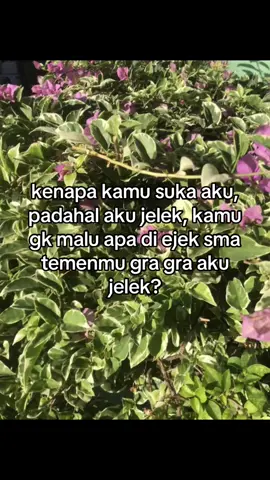 kenapa kamu suka aku, padahal aku jelek, kamu gk malu apa di ejek sma temenmu gra gra aku jelek?#kamu #yakin #gk #malu #gara #gara #kamu #suka #sma #aku #kan #aku #jelek #fyp #foryou #trending #aku #jelek #gk #cantik #kaya #orang #di #luar #sana 