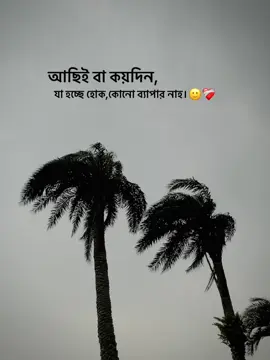 ব্যাপার নাহ🥹❤️‍🩹#status #sed_status #vairal #fyp #foruyou 