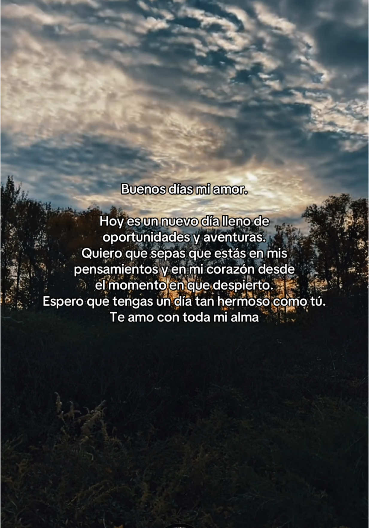 Buenos días mi amor  #parati #fypシ #fyp #capcut #buenosdias #goodmorning 