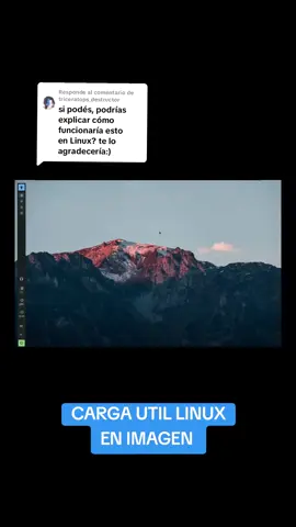 Respuesta a @triceratops_destructor payload estructura en Linux #hacker #kalilinux #pentest #siberseguridad #fyp #payload #linux 