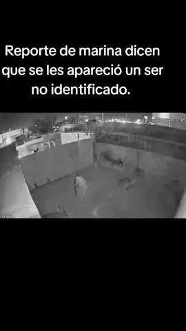 Miembros de la marina acuden al llamado de emee en tetela puebla y lo que ven  es algo aterrador un ser no identificado reporte de cámara corporal a sido clásificado y llevado a estados unidos para su estudio #coatzabeach #coatzacoalcosveracruz #puebla #oaxaca #cuatitlanizcalli #TENÍA #AuxilioSocial 