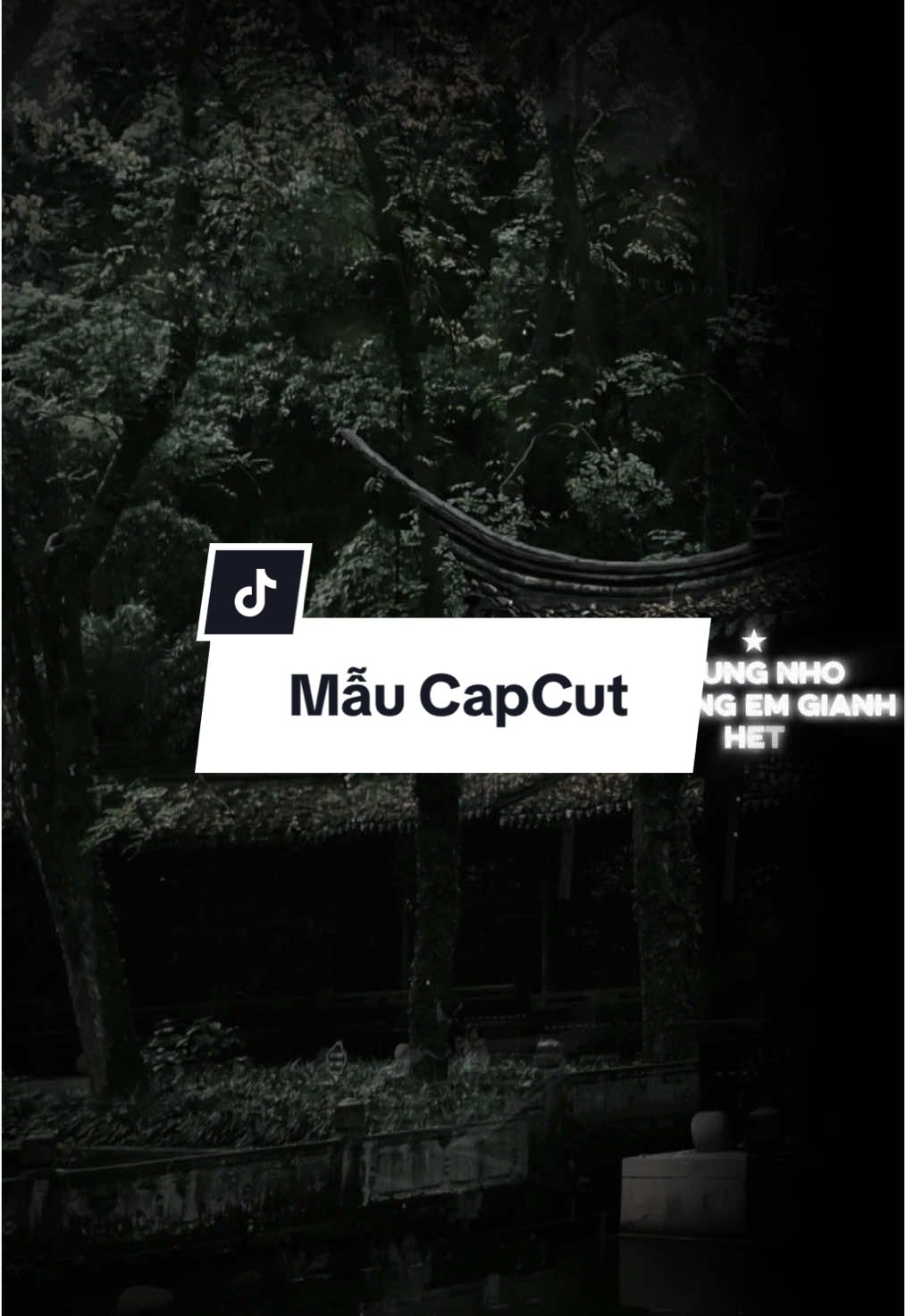#CapCut Lời em hát ai nghe hiểu thấu...#nhachaymoingay #xuhuong 