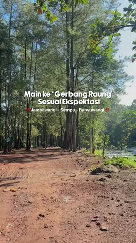 Sudah pernah ke Gerbang Raung ⁉️ Kawasan Perhutani yang berada di wilayah Jambewangi Kecamatan Sempu ini bisa kalian kunjungi, dimana suasanya yang sejuk dan tenang dikelilingi pohon pinus dan suara aliran sungai yang syahdu 🍃 #visitbanyuwangi #banyuwangi