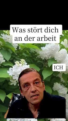 #CapCut #spaßmusssein😎😉 #MemeCut 