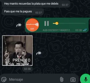 Mala paga! #hectorelfather #regueton #grupodewhatsapp #videoviral #audiosdewhatsapp #audiowhatsapp #grupodewhatsapp #audiosparatiktok #paratii #humor #comedia #risas #audios #viralvideos #musica #paratiiiiiiiiiiiiiiiiiiiiiiiiiiiiiii #goviral #million #frasesconvideo 
