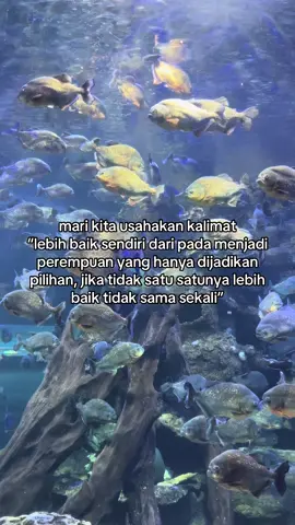 Kita tidak pantas dijadikan sebuah pilihan😊 #fyp #quotes #lypsync #lesungpipi #komang #seaworld #jakarta 