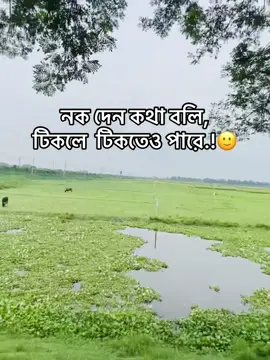 🐸🌚#প্রাকৃতিক_সুন্দর্য #foryoupage #fypシ゚ #viral #tiktok #newtrend #funnyvideos #caption 