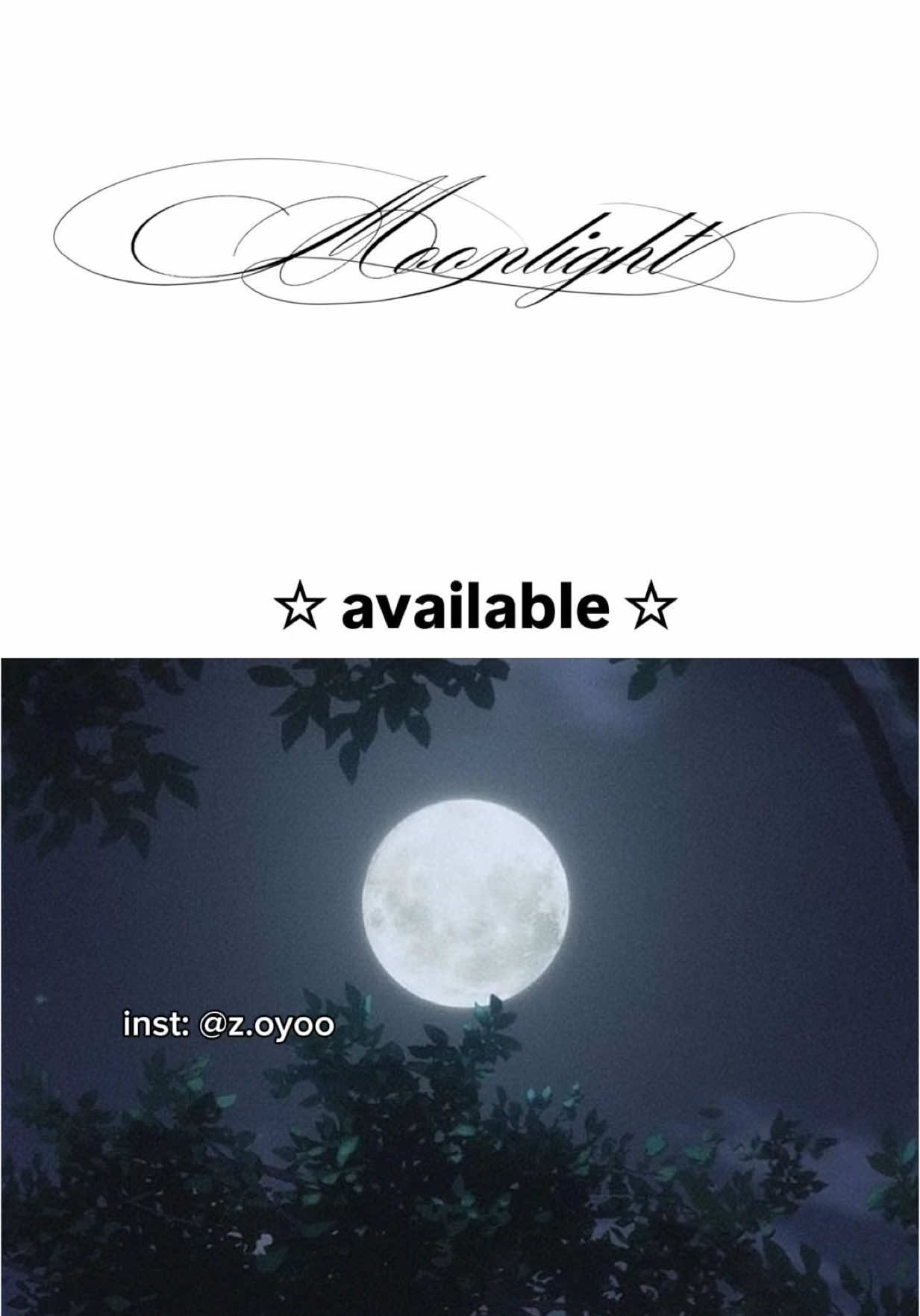 based in stuttgart , germany 📍berlin 12-15 july | send me a dm on insta to book: z.oyoo #fyp #tattoo #tattooartist #tattooforgirls #calligraphy #tattoos #fineline 