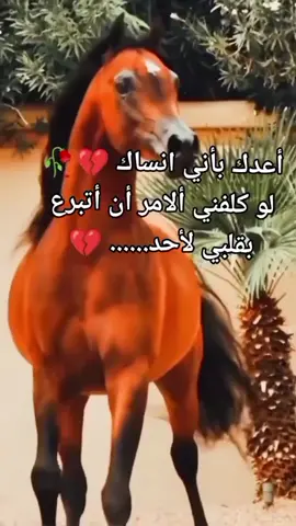 #💔🥺🥀 #اكسبلورexplore 